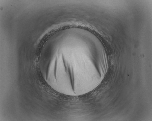X0000071821495200607211723