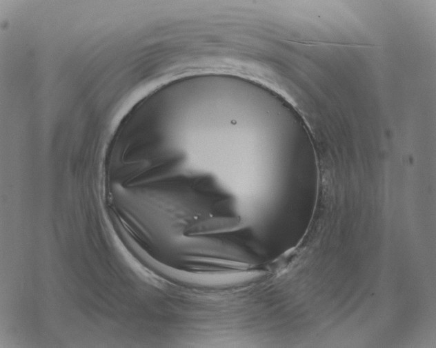 X0000071821523200607211724