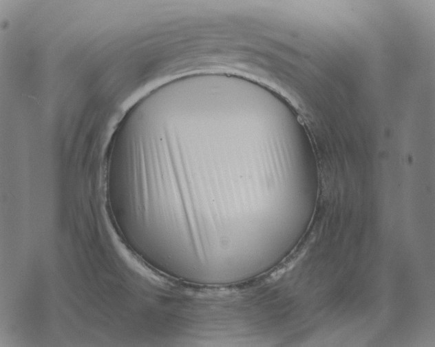 X0000071821526200607211724
