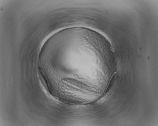 X0000071821534200607211724
