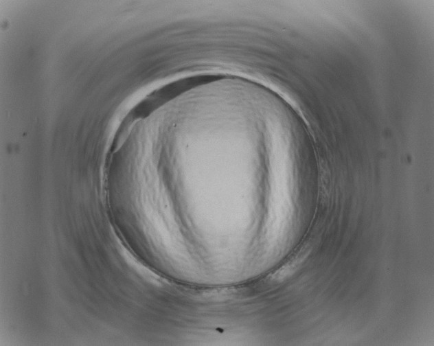 X0000071821535200607211724