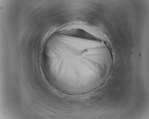 X0000071820001200607290029