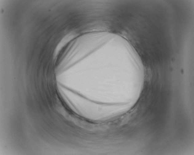 X0000071820004200607290029