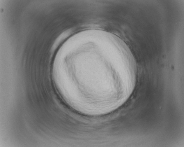X0000071820006200607290029