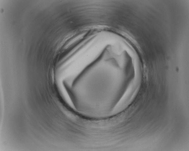 X0000071820013200607290029