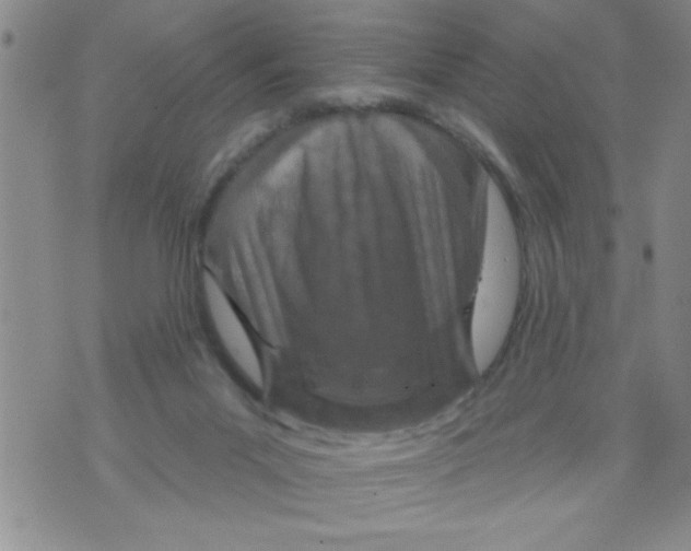 X0000071820023200607290028