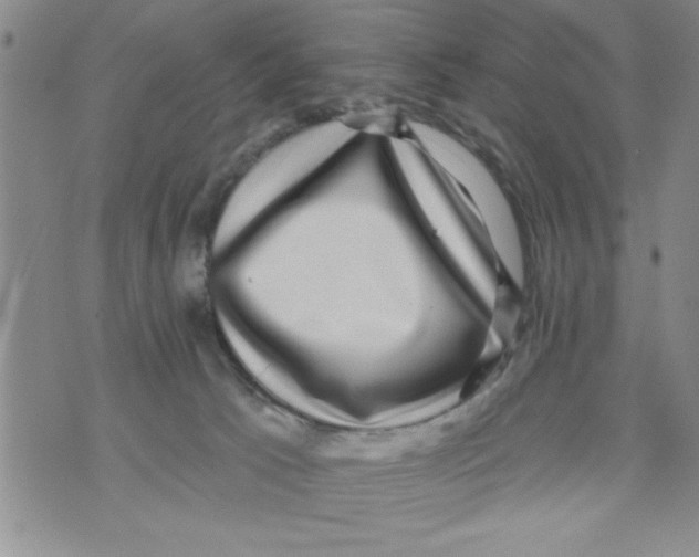 X0000071820033200607290028
