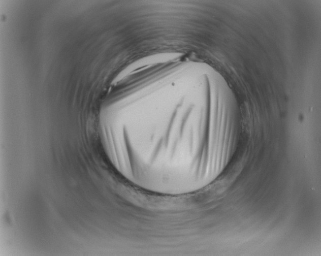 X0000071820044200607290028
