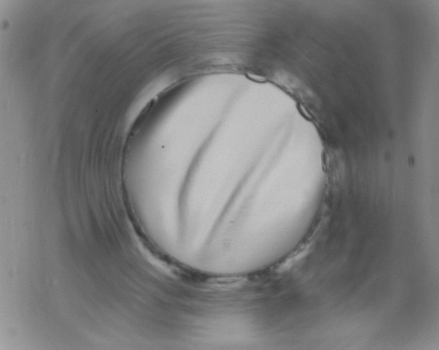 X0000071820051200607290027