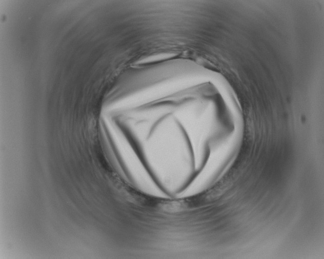 X0000071820079200607290028
