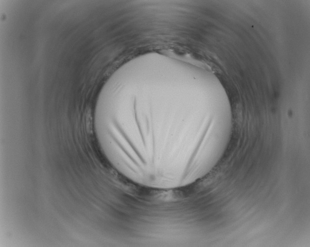 X0000071820083200607290028
