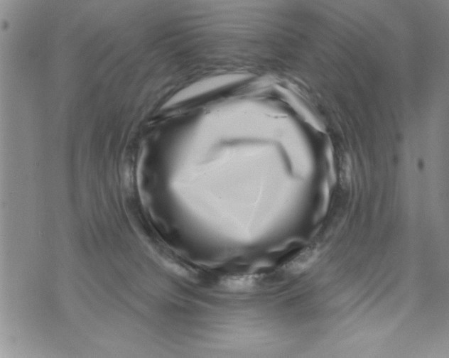 X0000071820084200607290028