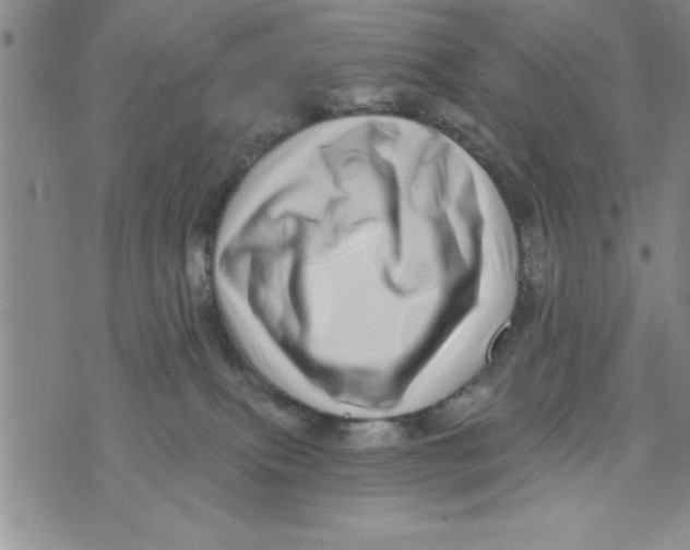 X0000071820087200607290028