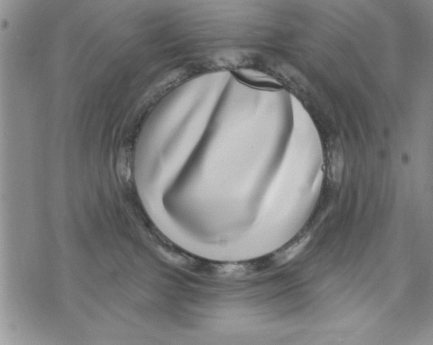 X0000071820091200607290028