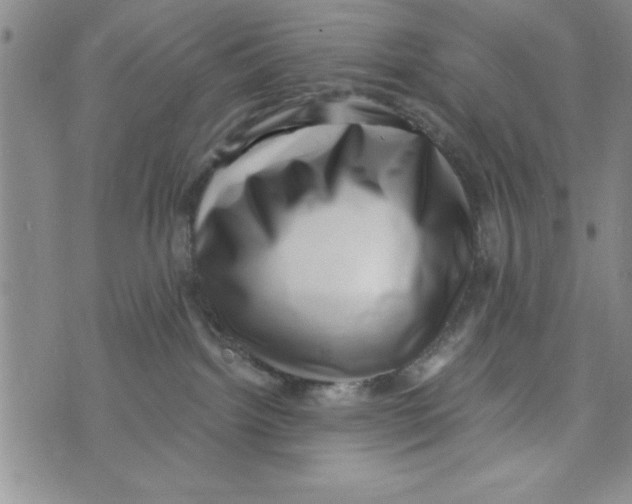 X0000071820092200607290028