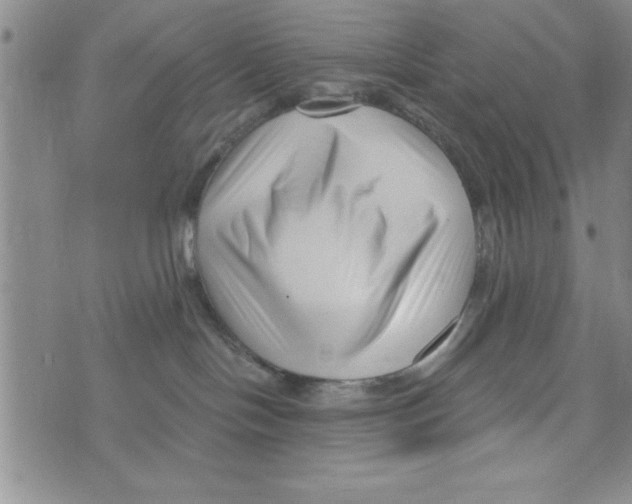X0000071820094200607290028