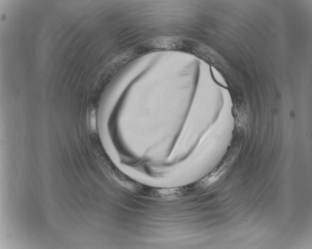 X0000071820095200607290028