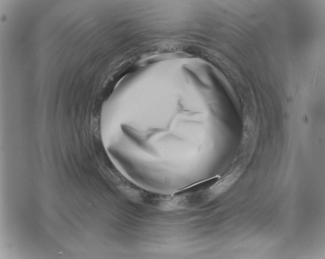 X0000071820096200607290028