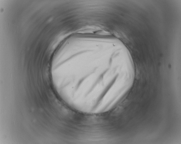X0000071820098200607290027