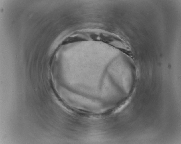 X0000071820101200607290027