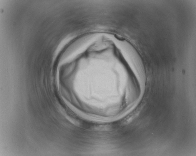 X0000071820102200607290027