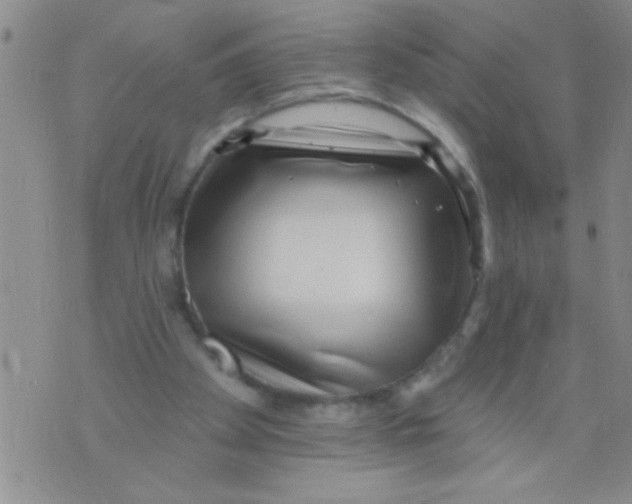 X0000071820105200607290027
