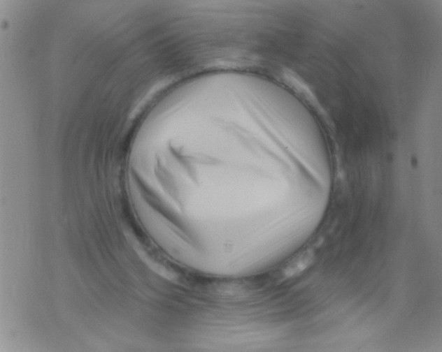 X0000071820106200607290027