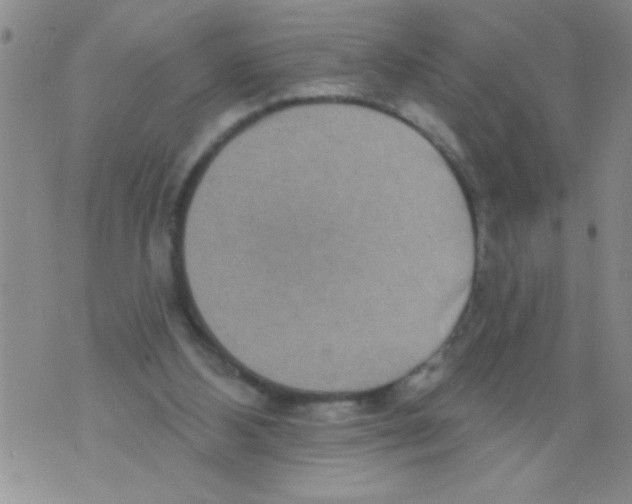 X0000071820108200607290027