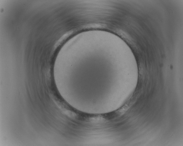 X0000071820112200607290027