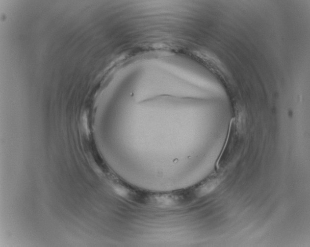 X0000071820121200607290027