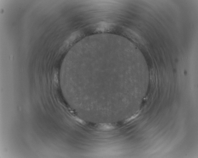 X0000071820127200607290027