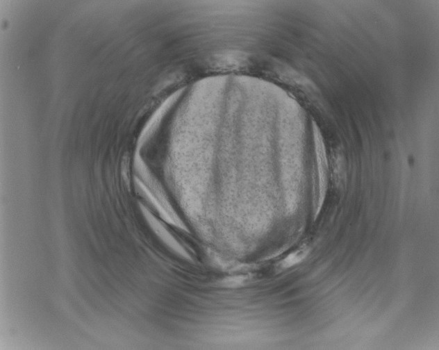 X0000071820131200607290027
