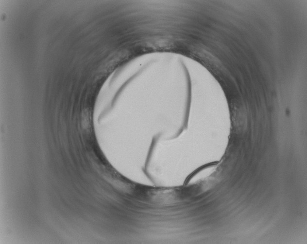 X0000071820132200607290027