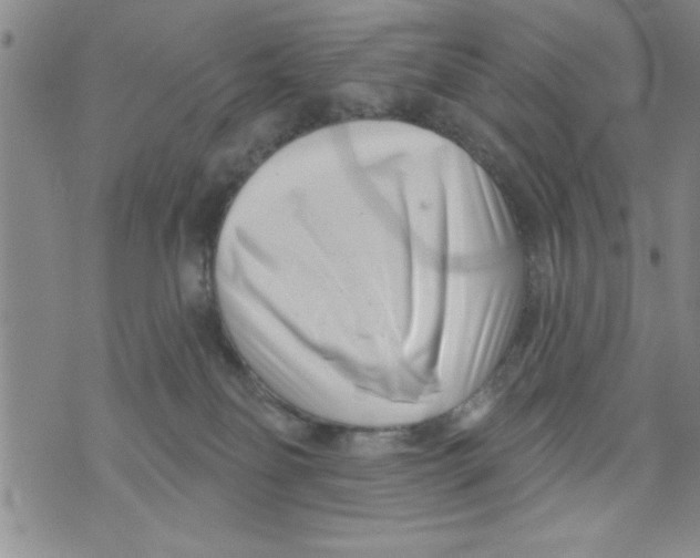 X0000071820134200607290027