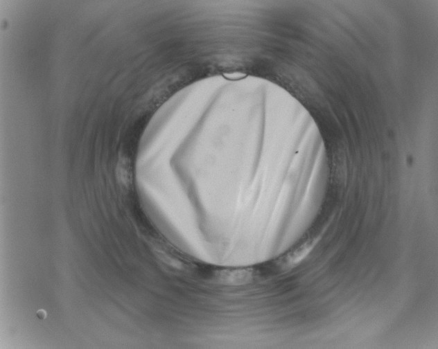 X0000071820135200607290027