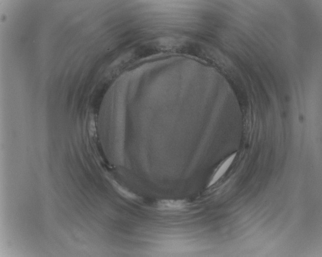 X0000071820137200607290027