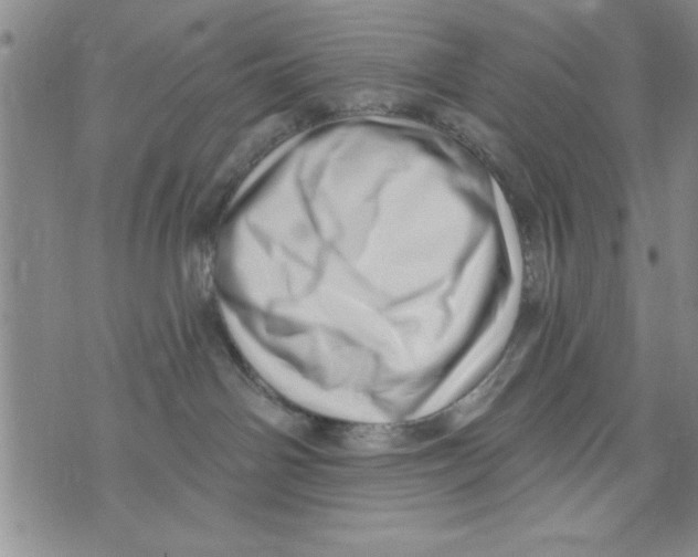 X0000071820142200607290027