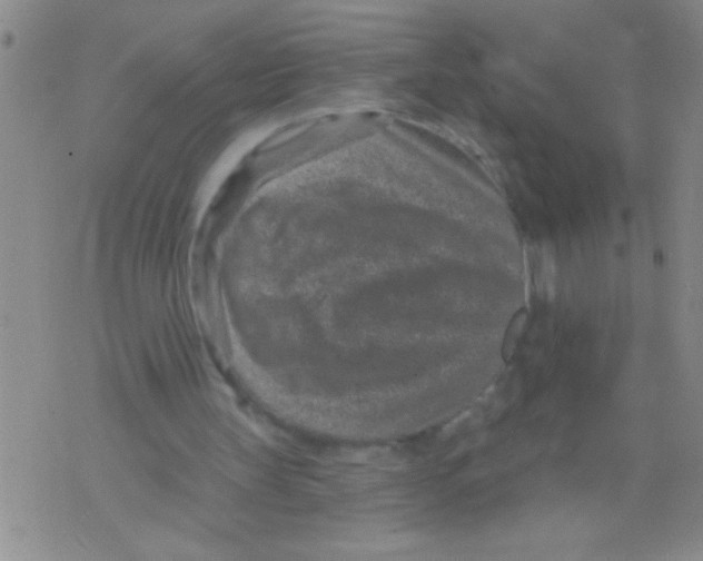 X0000071820147200607290026