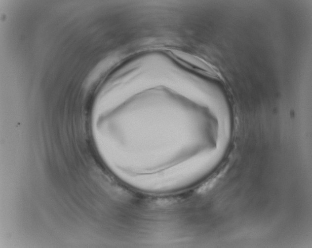 X0000071820149200607290026
