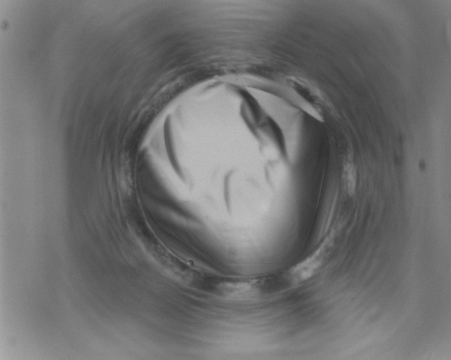 X0000071820170200607290026