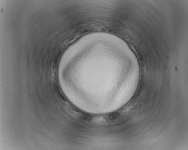 X0000071820177200607290026