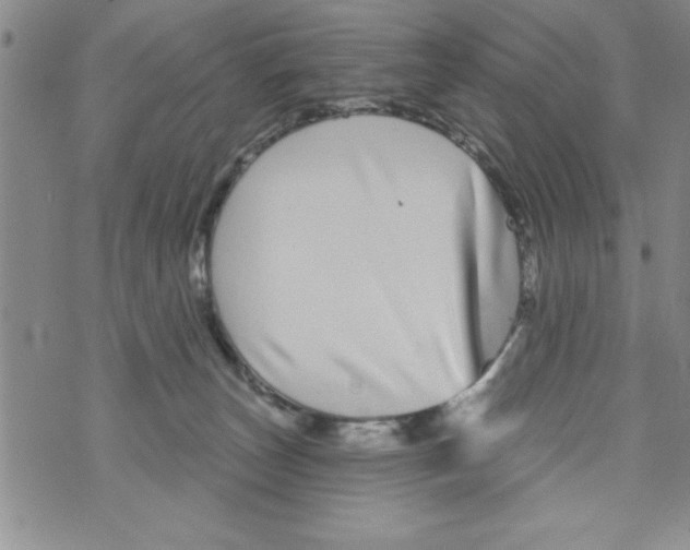 X0000071820179200607290026