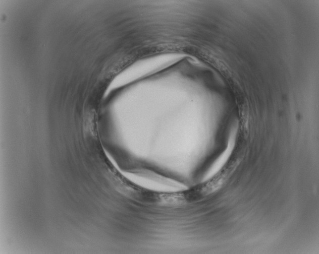 X0000071820185200607290026