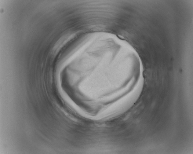 X0000071820194200607290026