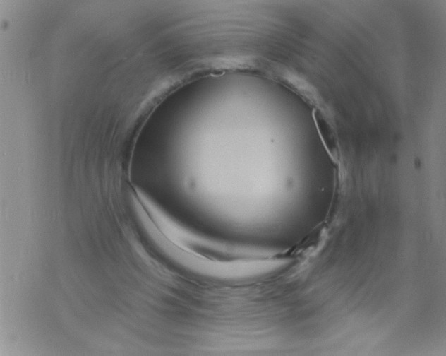 X0000071820201200607290026
