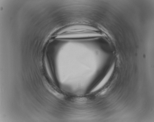 X0000071820203200607290026