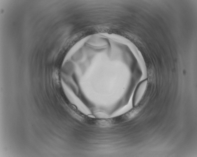 X0000071820238200607290025