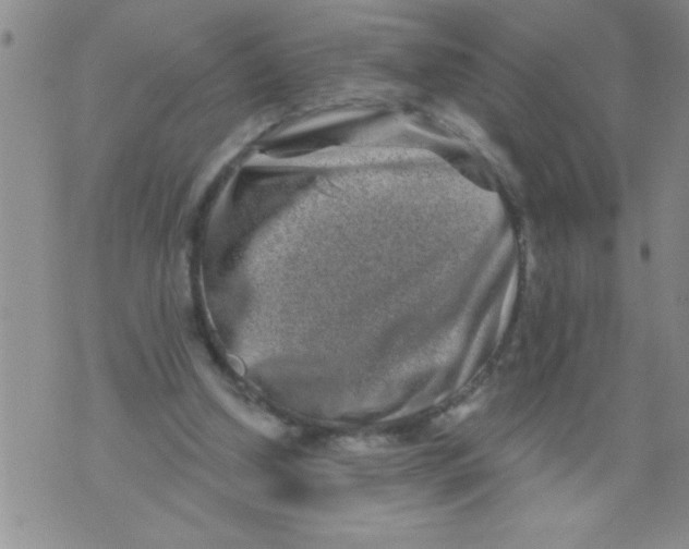 X0000071820250200607290024