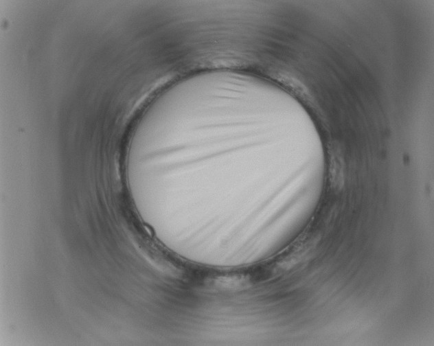 X0000071820251200607290024