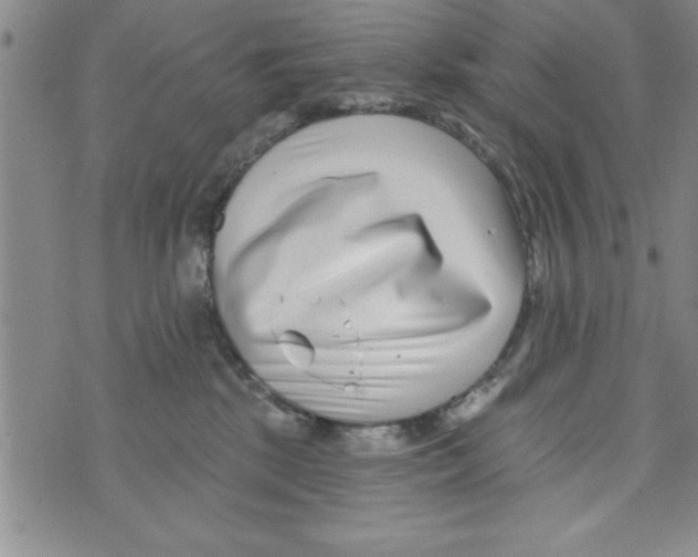 X0000071820281200607290025